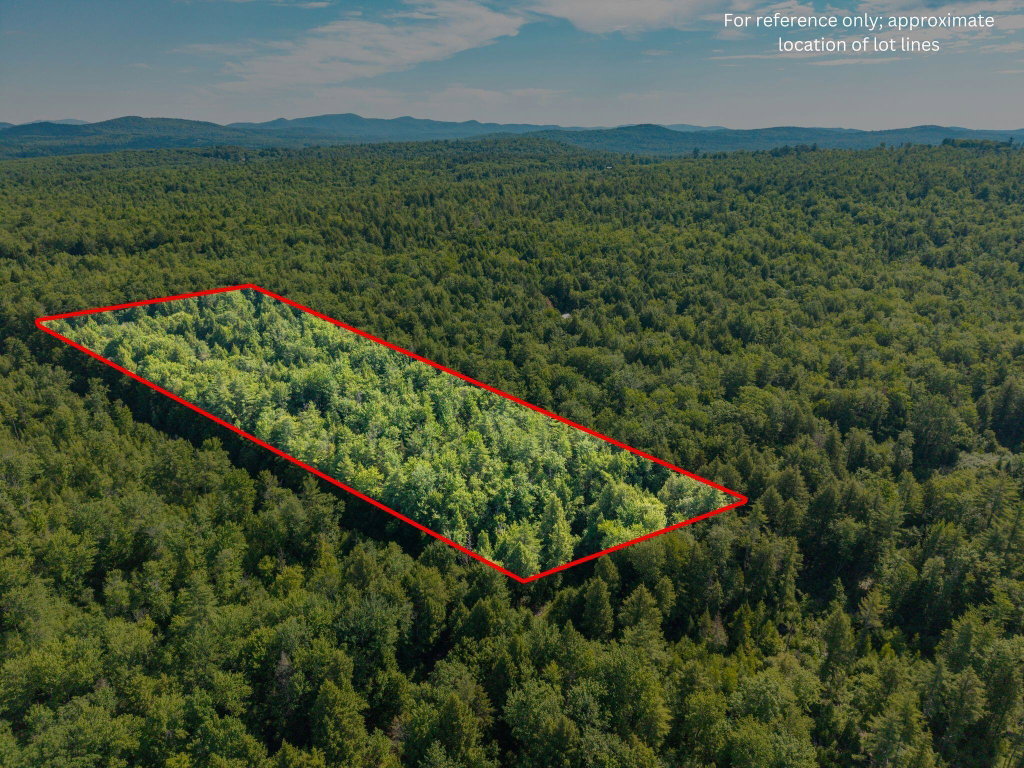 129 Hobbs Swamp Road Parsonsfield