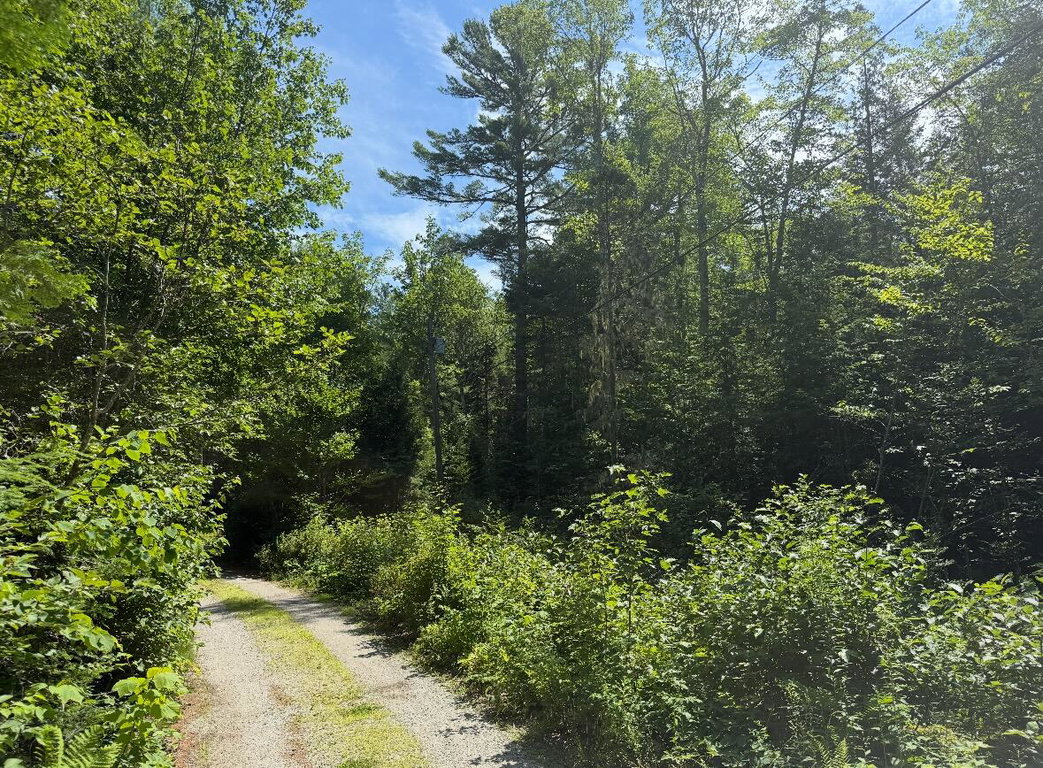 Lot 23 Webb Pond Rd