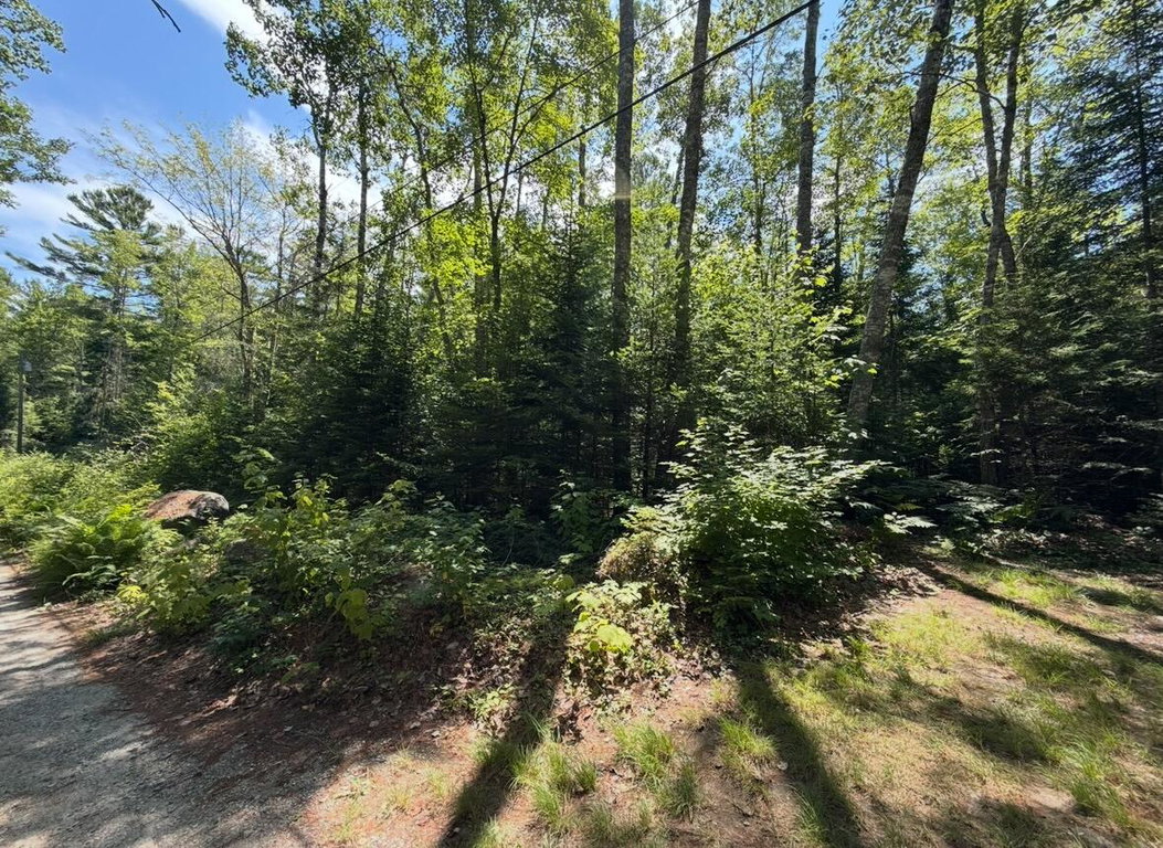 Lot 23 Webb Pond Rd
