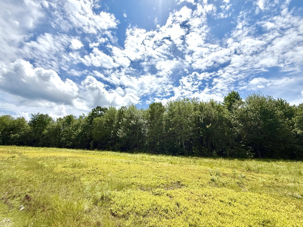Lot 9