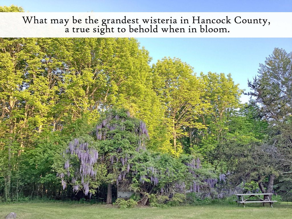Grounds (16), label