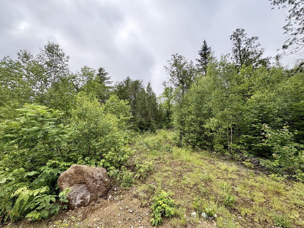 Lot 2 Mt. Jefferson Heights Lee