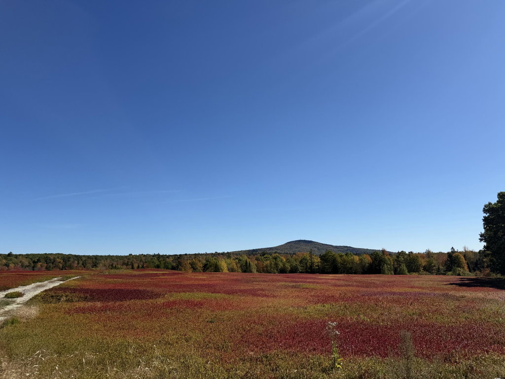 MAP 31 LOT 29