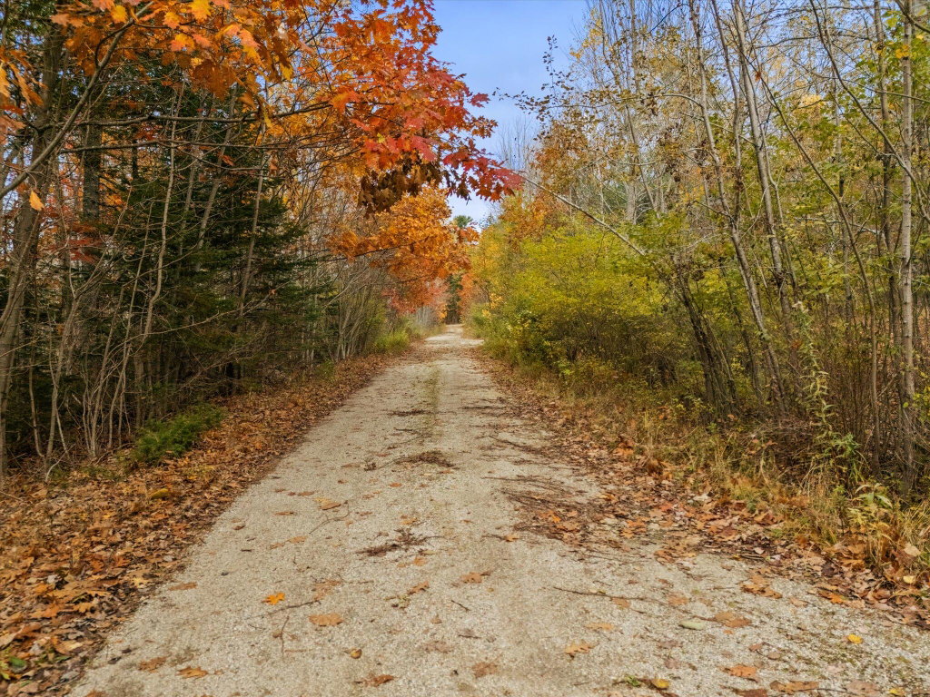 14-Beechland Rd Ellsworth Driveway