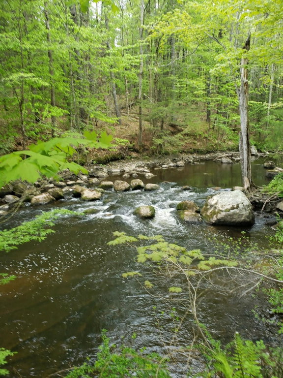0 Hall Road Windham