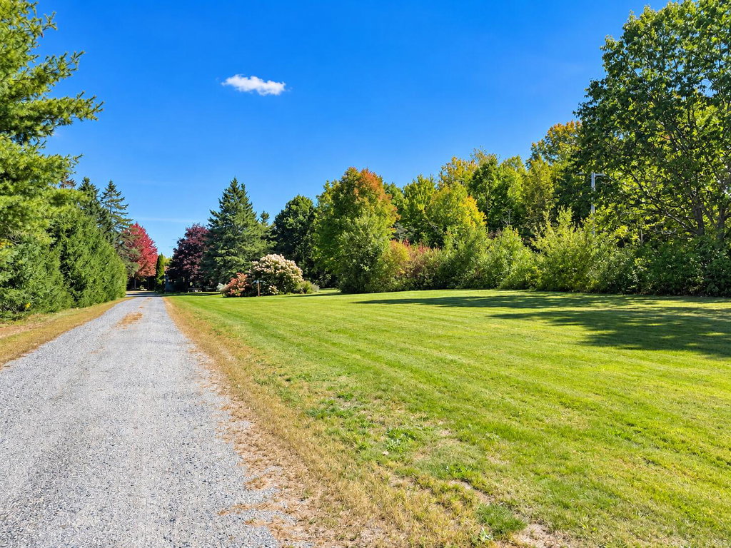 Front yard