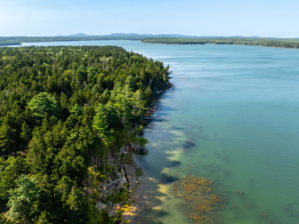 Shoreline copy 3