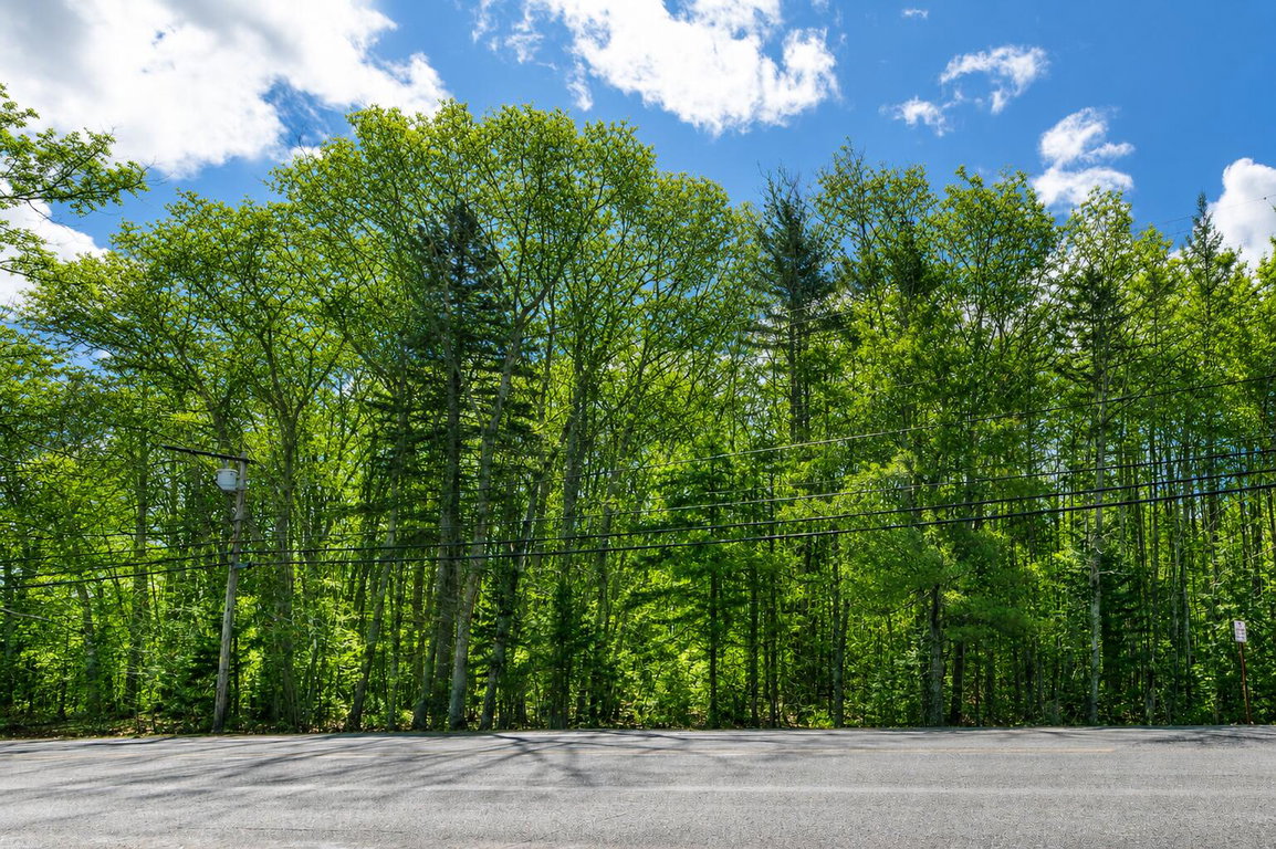 Road View