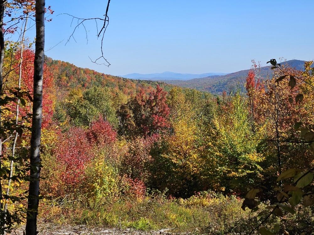 Lot 9 E Moose Alley Road Temple