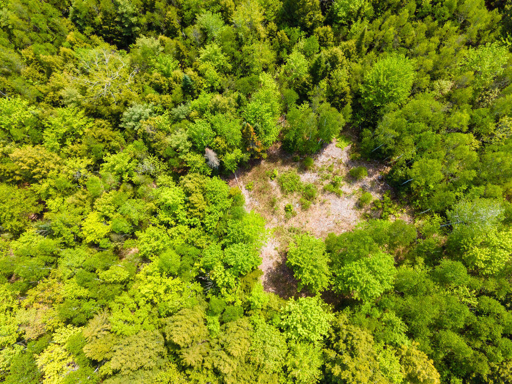 8-DJI_0121