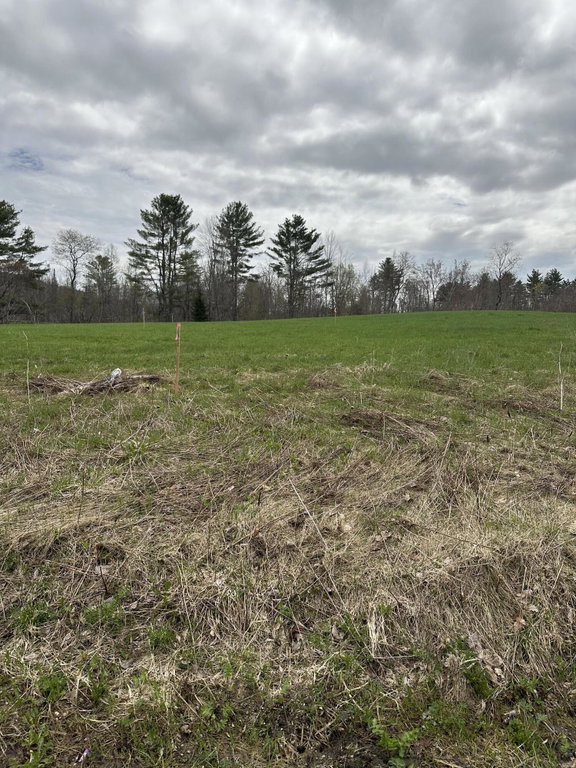 Lot #8 Moose Hill Road Livermore Falls