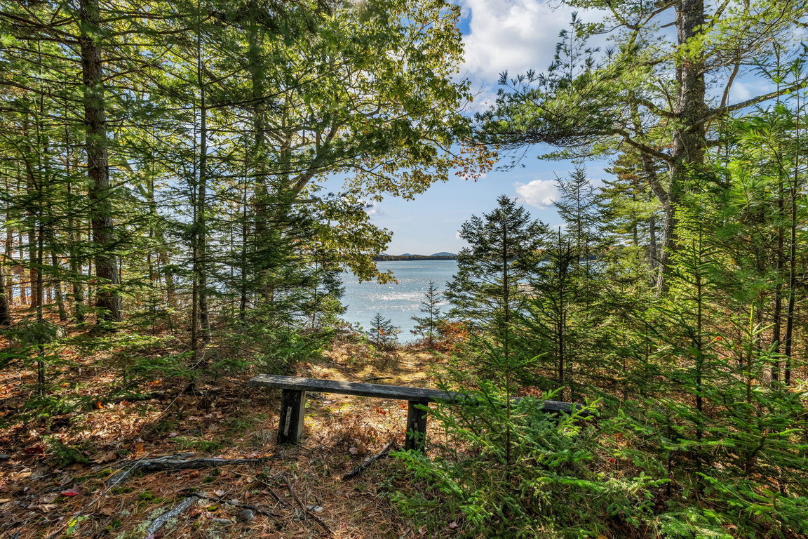 bench view