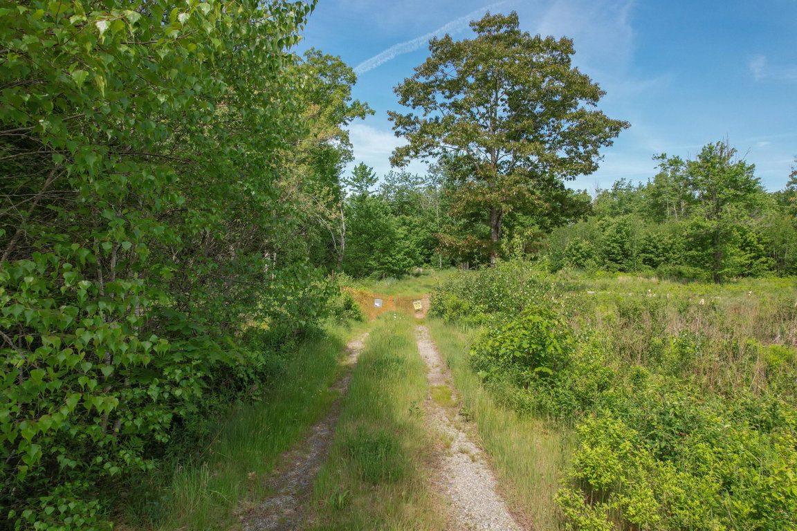 DJI_0245