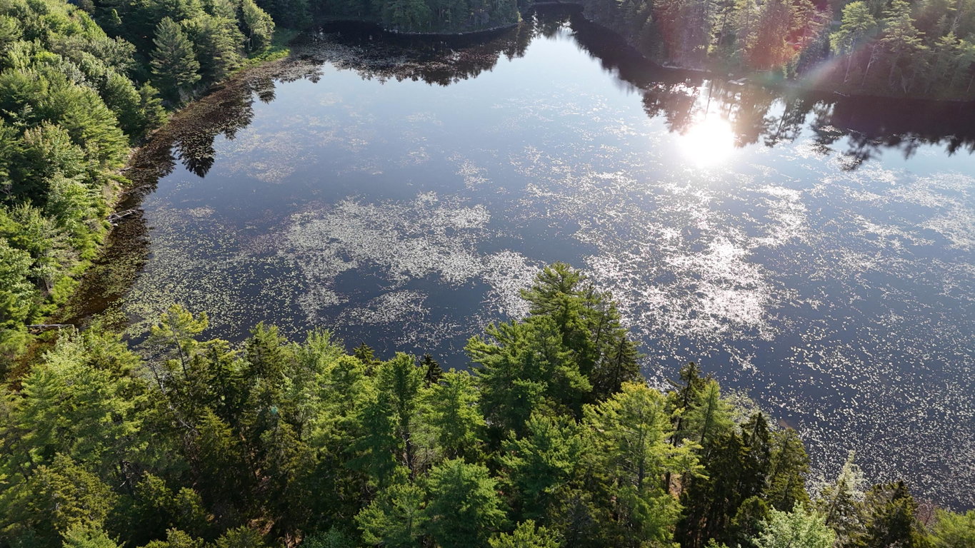 DJI_20250621070222_0028_D