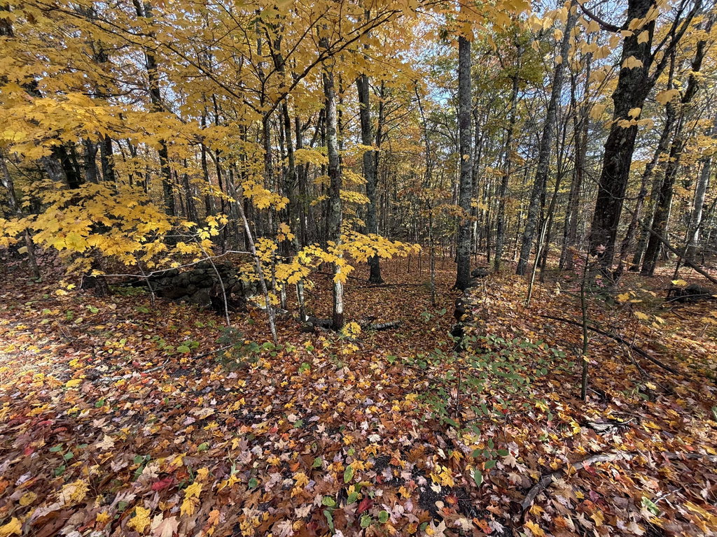 TBD Map 15, Lot 150 Mt. Pleasant Street Rockport