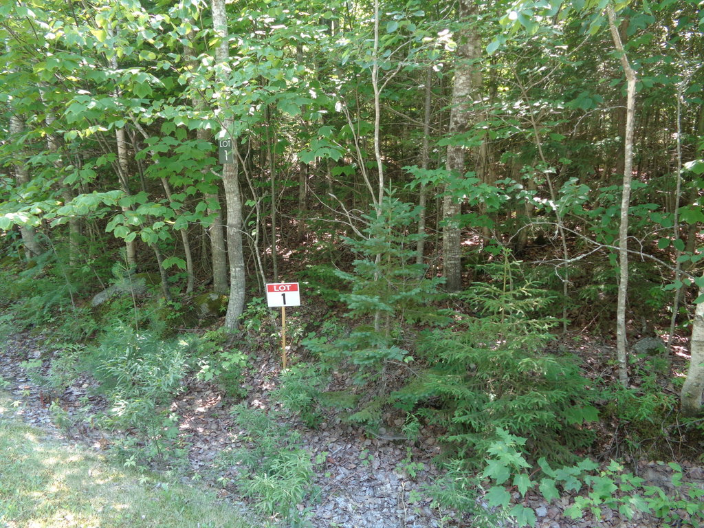 Lot 1 Bailey Mountain Road Franklin