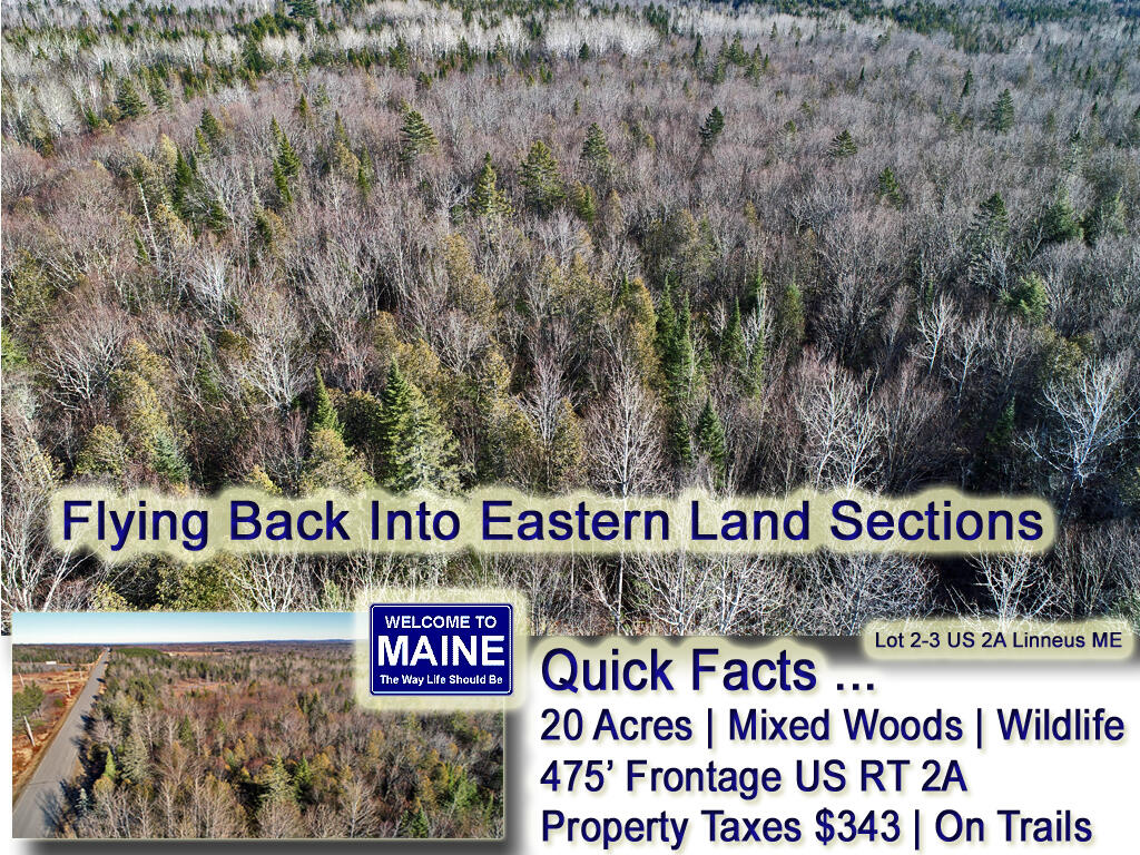 Lot 2-3 US RT 2A Road Linneus