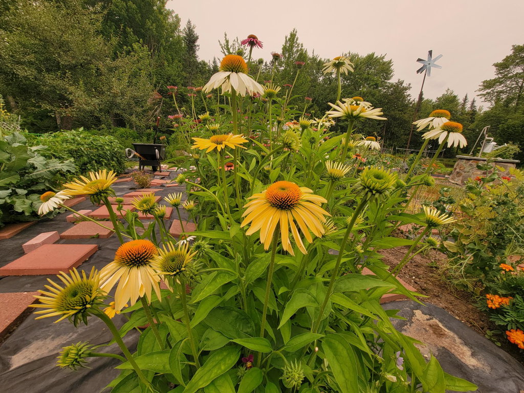Extensive Gardens