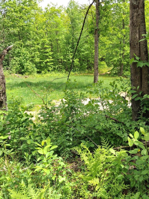209 Adams Road Chesterville