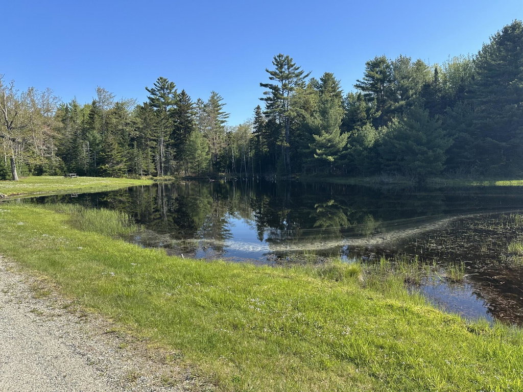 61 Gerards Pond Pic 1
