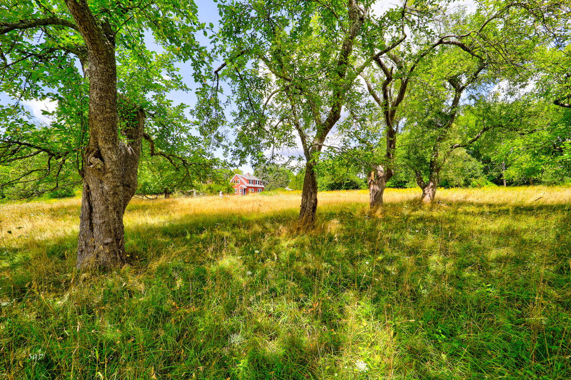 NorthSedgwick-111