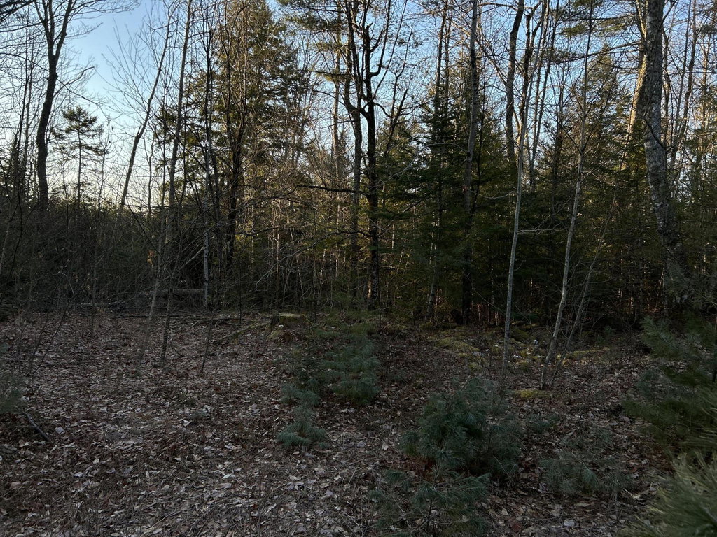 M7L22,L31 Nelson Ridge Road Washington