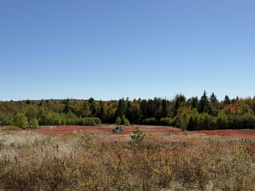 MAP19LOT28 Leach Road Penobscot