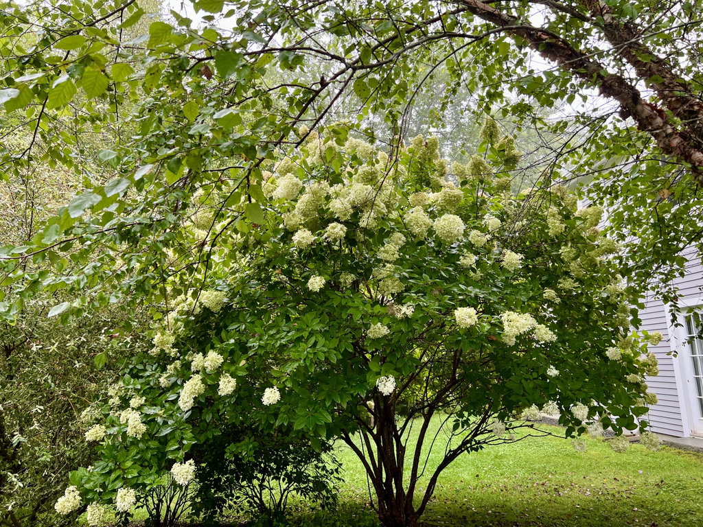 Grounds