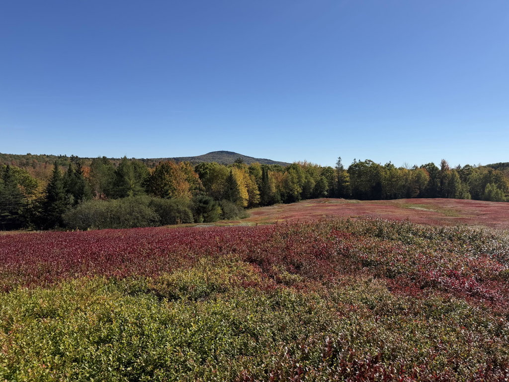 MAP 31 LOT 29