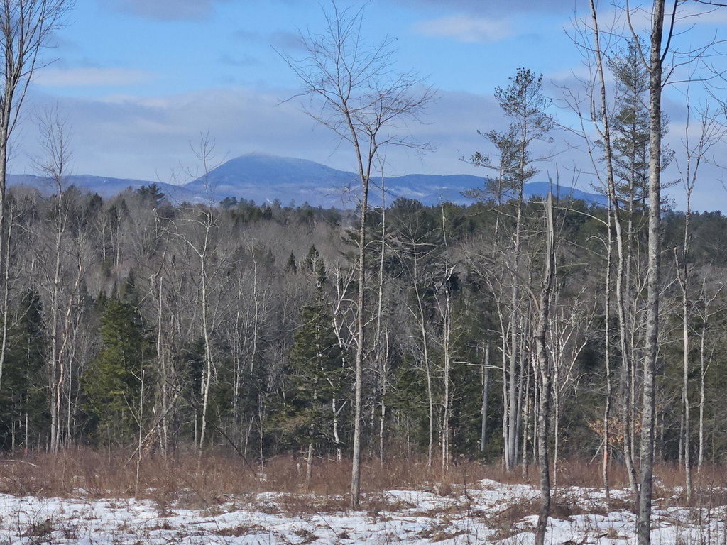 R11-033-1 Bailey Hill Road Farmington