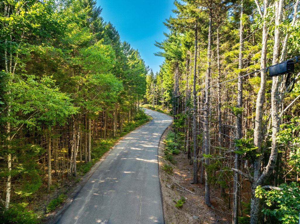 Paul Bunyan Road