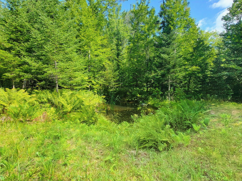 One of Two Farm Ponds
