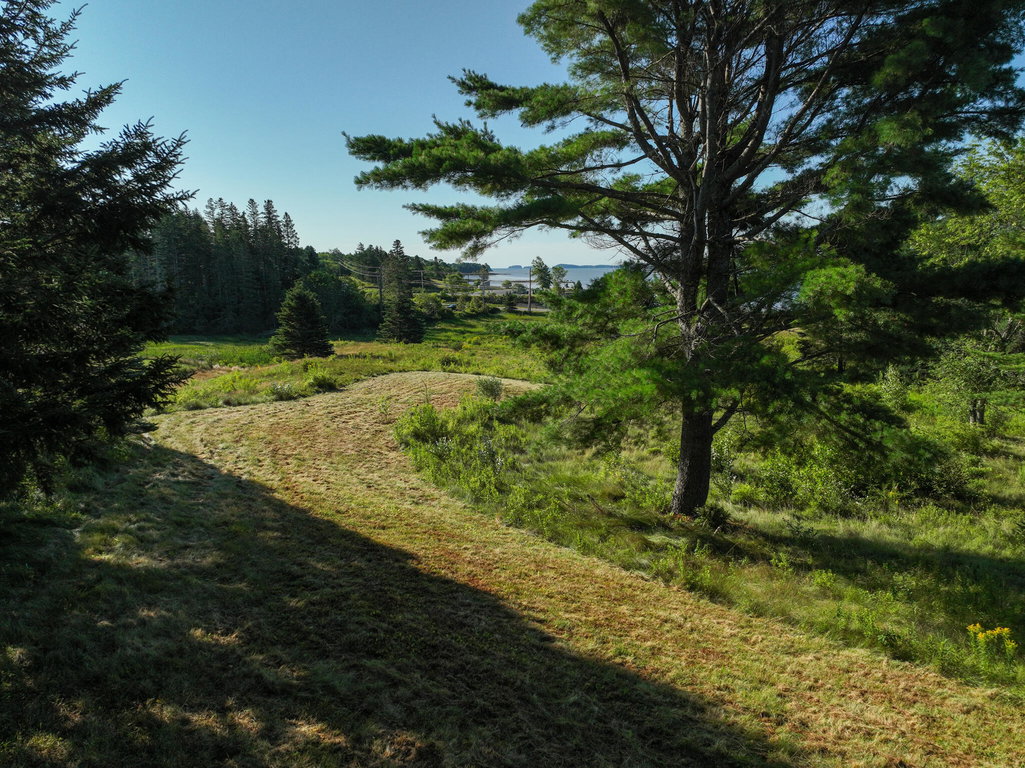 DJI_0028