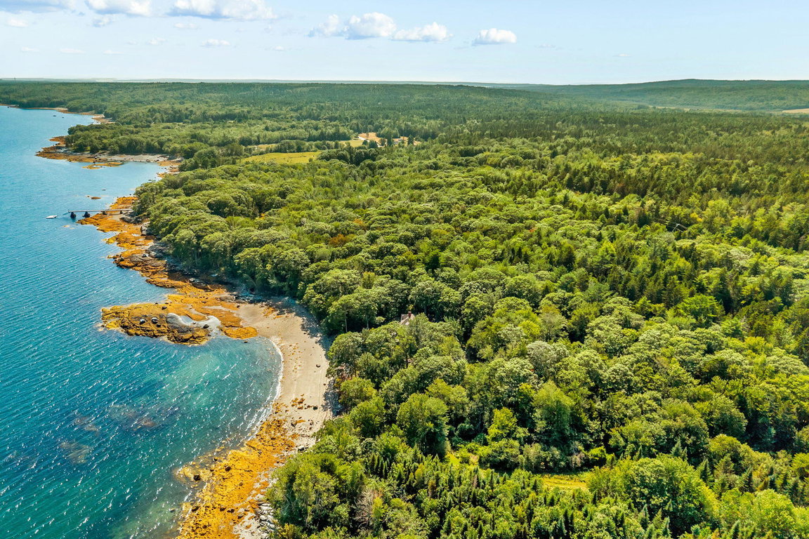 124-web-or-mls-1197-bay-rd