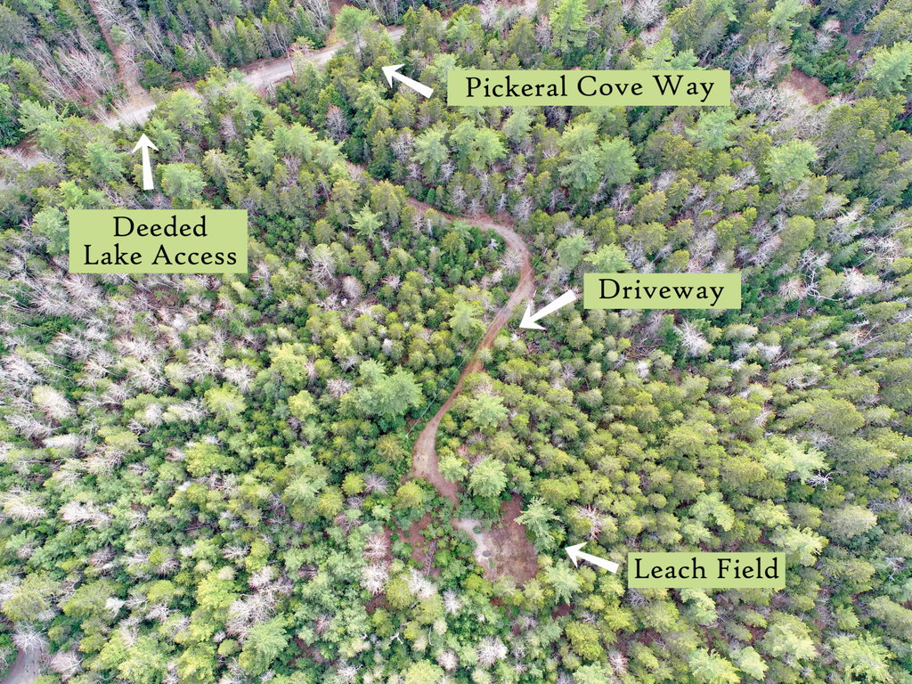 Aerial (2), label