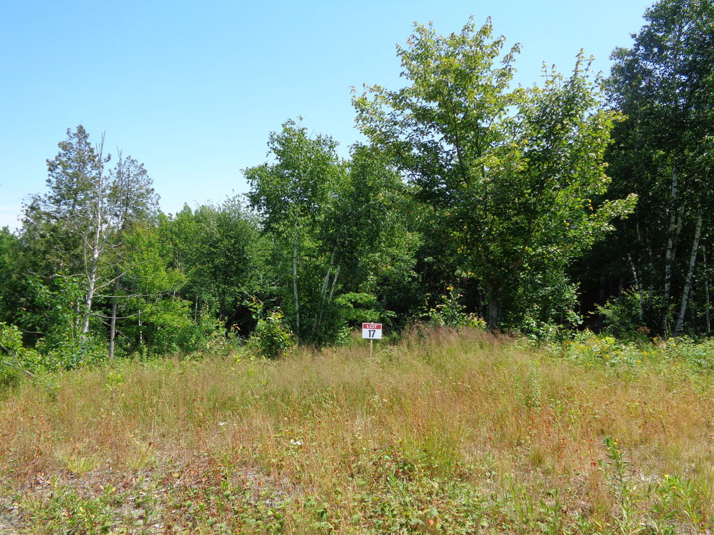 Lot 17 Bailey Mountain Road Franklin