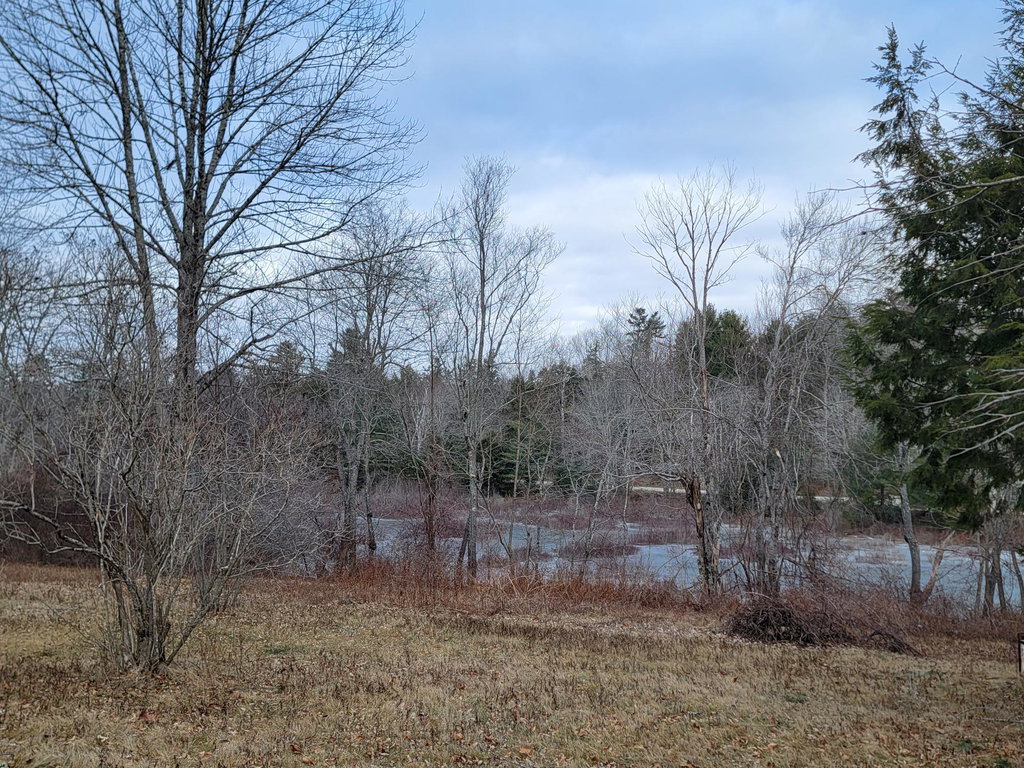 Mill Pond