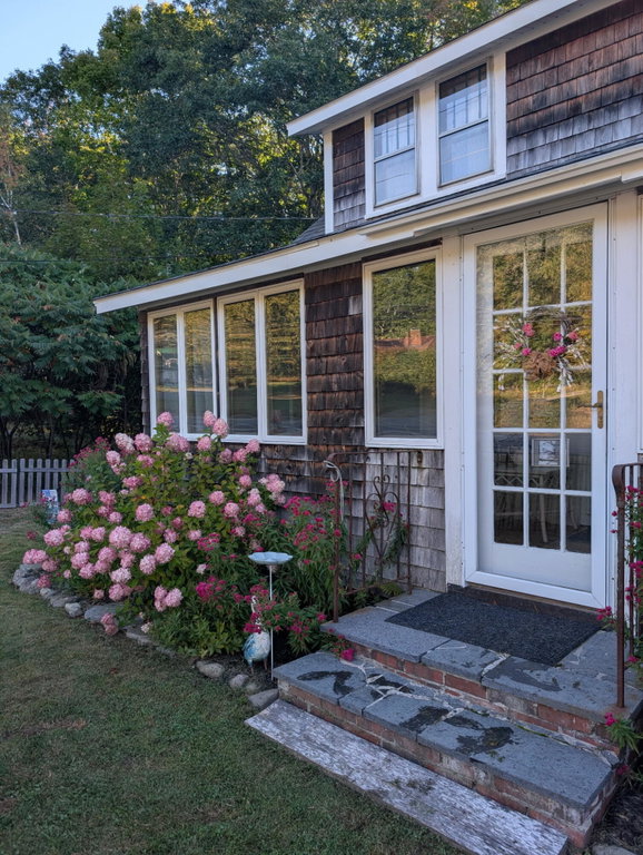 Front yard from drive