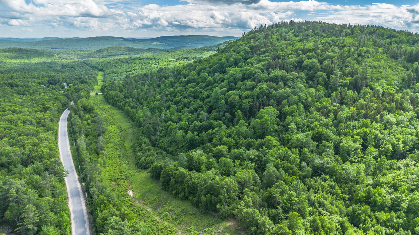 Lot 61.2 Hunts Corner Road Albany Twp