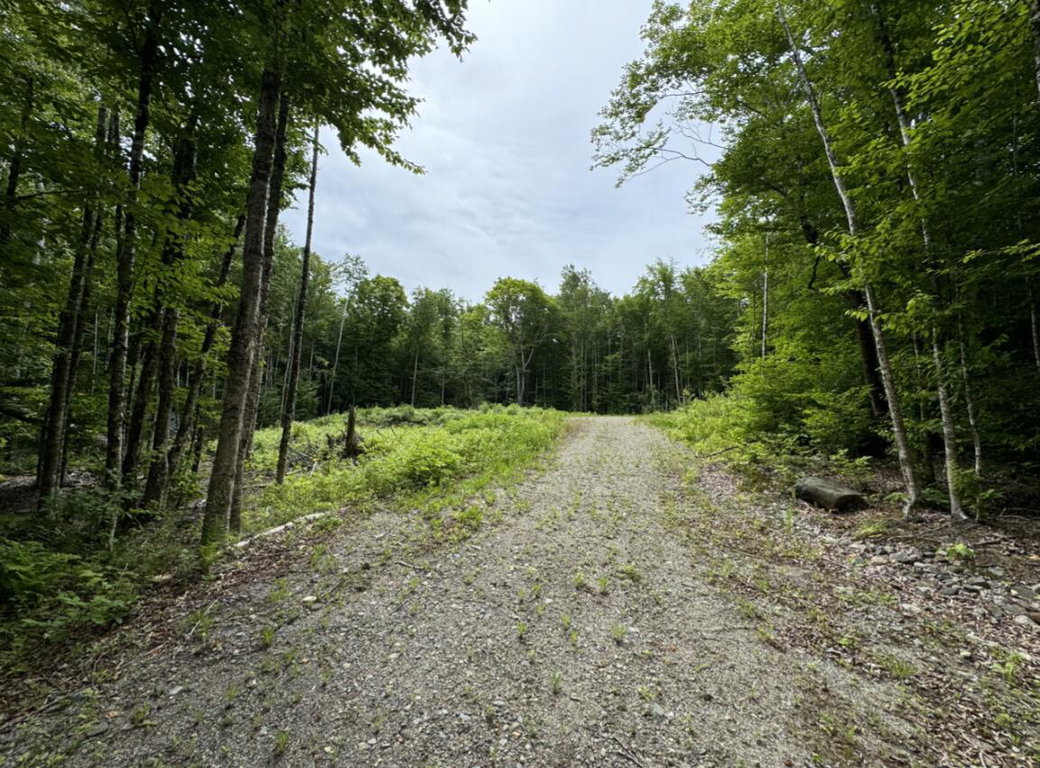 Lot WA-9 Smith Cove Road Cathance Twp