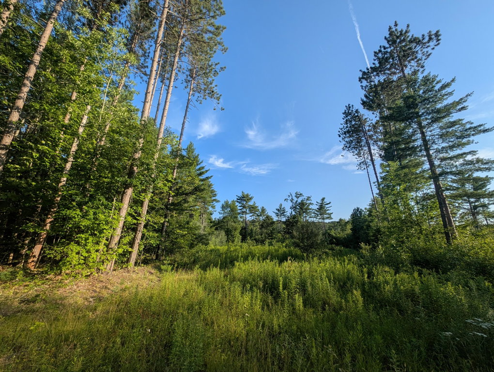 Lot # 2 Route 126 Route Litchfield