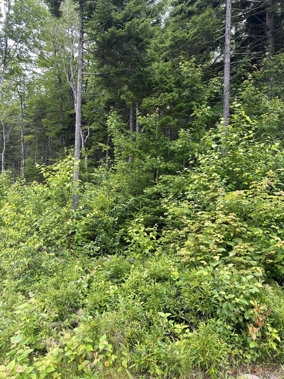 Lot 44 Estates Road Steuben