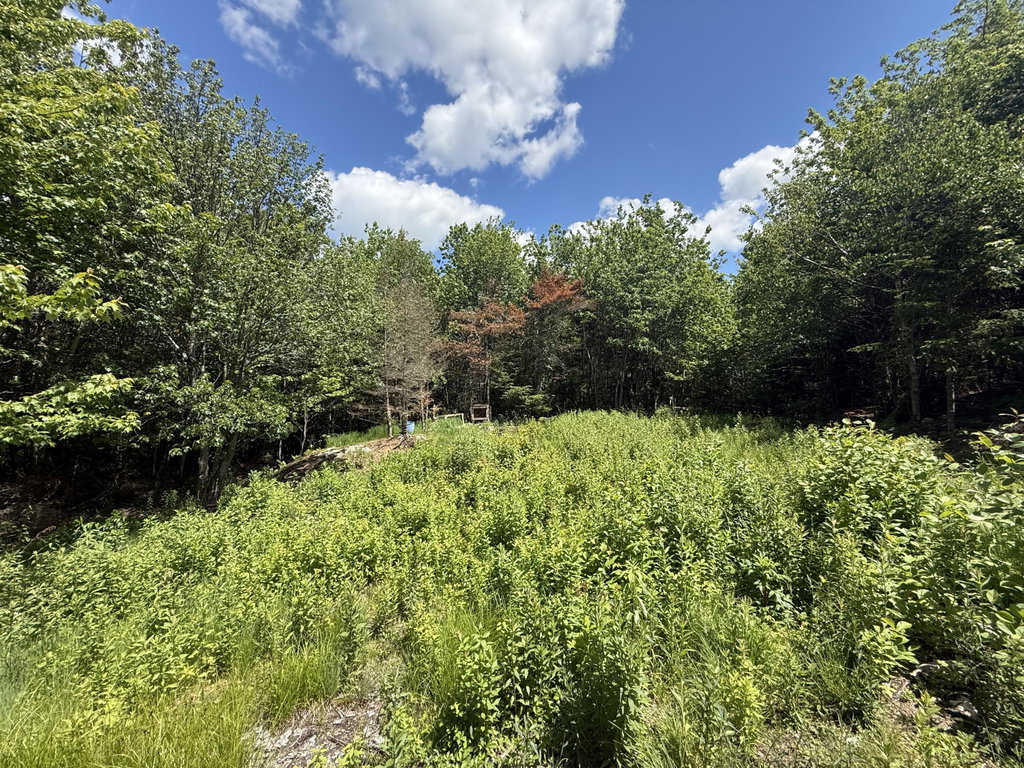 Lot 27 Lively Brook Acres Whiting