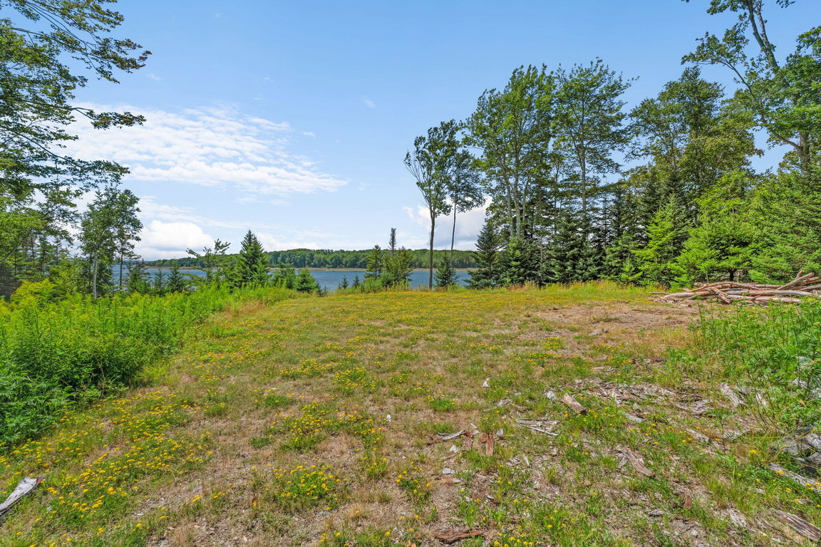 43-web-or-mls-60-moose-run