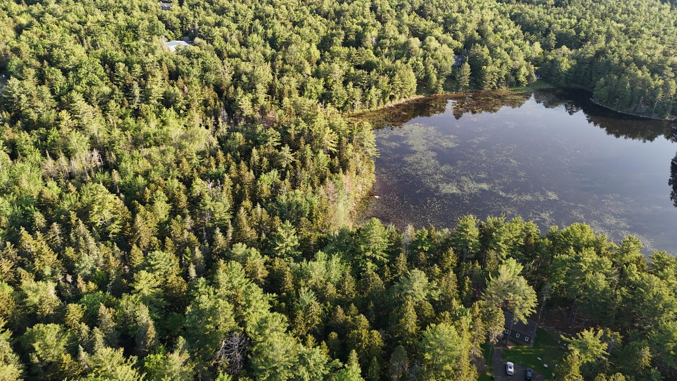 DJI_20250621065549_0002_D