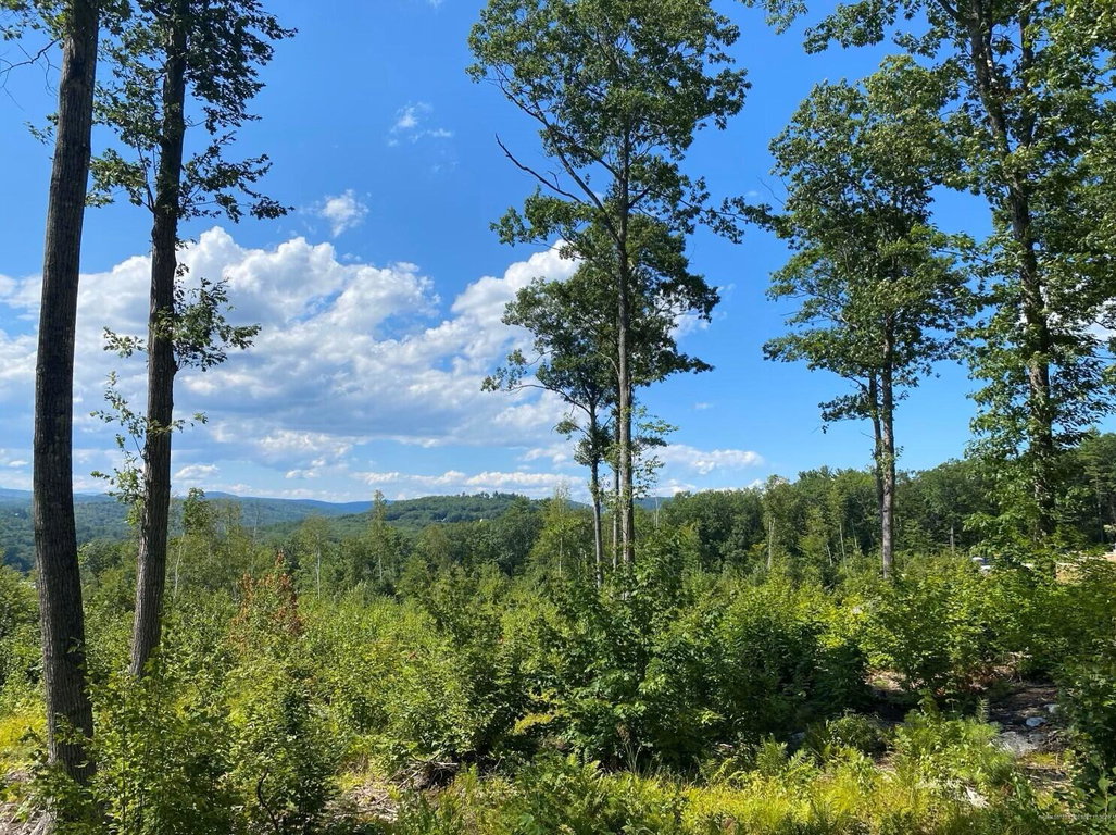 Lot 17 Birch Circle Harrison