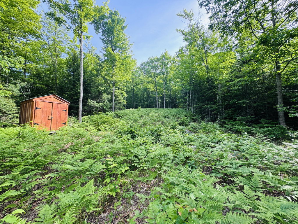 Lot #4 Mooseley Ridge Road Phillips