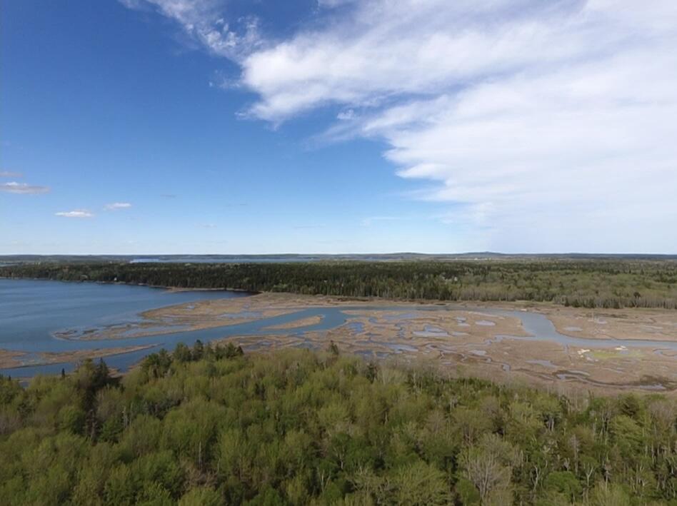 Lot 14 West Bay Road  Gouldsboro