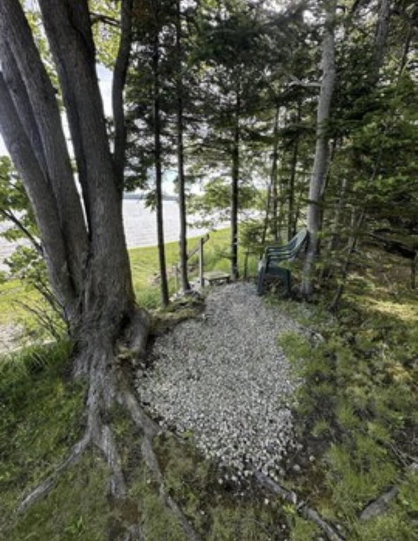 image4