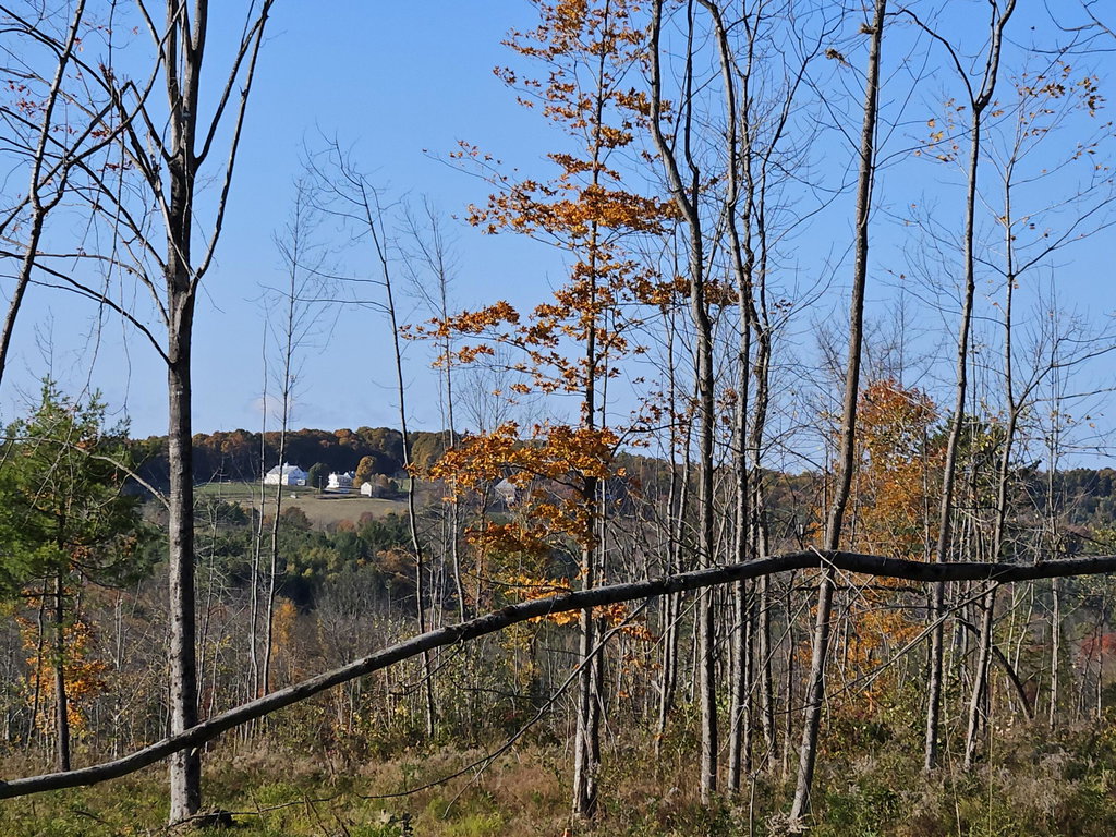 R11-033-2 Bailey Hill Road Farmington